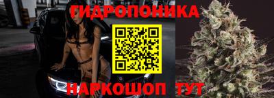 спайс Коммунар